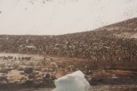 
DSC00099